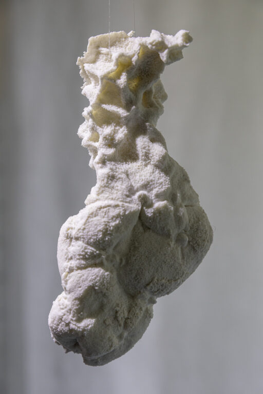 Heide Nonnenmacher